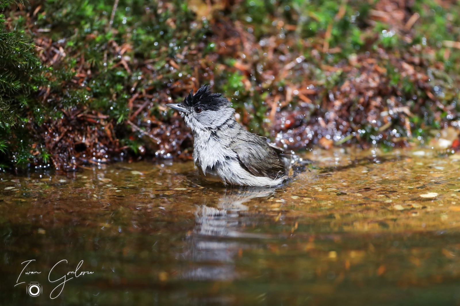 12 juni 2022 160138 1DX47163